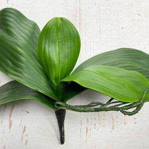 Pack of 2: Real touch lifelike quality Artificial Phalaenopsis Orchid Foliage leaf tabletop orchid centerpiece arrangement