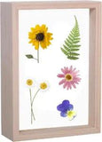 LONGWIN 3.5X5 Wood Picture Frames Double Sided Acrylic Plant Specimen Pressed Fl