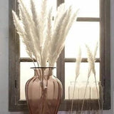 Bulrush Natural Dried Flowers Small Pampas Grass Phragmites Artificial Flowers