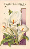 Lovely Calla Lilies on Old Stecher Easter Postcard - Series 75 F