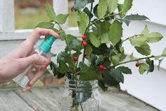 Drying Techniques for Holly Berry Bushes | ehow.com Flower Delivery