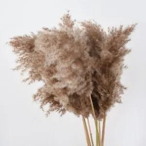 10pcs Bulrush Natural Real Dried Flowers Wedding Home Decor Decoration Phragmite