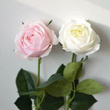 Ivory Pink Cabbage Roses, Silk Real Touch Roses, DIY Silk Bridal Bouquets, Wedding Centerpieces, Home Gift