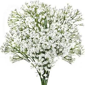 50PC Dried Babys Breath Flowers Bulk White Babys Breath Gypsophila Dried Flowers