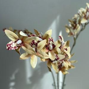 9 Heads Faux Orchid Stem - High Quality Artificial Flower / Wedding / Home Decoration / Gifts / DIY Floral / Beige
