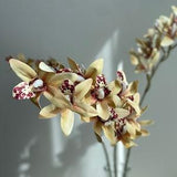9 Heads Faux Orchid Stem - High Quality Artificial Flower / Wedding / Home Decoration / Gifts / DIY Floral / Beige