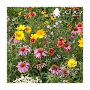 WILDFLOWER: BEE MIX - 100+ Seeds  -19 Different Annuals & Perennials - Organic, Fresh, High Quality Seed