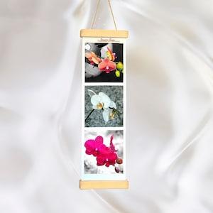 Orchids x 3