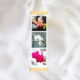 Orchids x 3