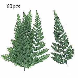 60Pcs Dried Green Fern Herbarium for DIY Jewelry Postcard Invitation Card PhonP6