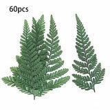 60Pcs Dried Green Fern Herbarium for DIY Jewelry Postcard Invitation Card PhonL7