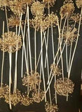 20 COUNT DRIED ALLIUM Bunch BOUQUET Bundle ALLIUMS Dried Flowers