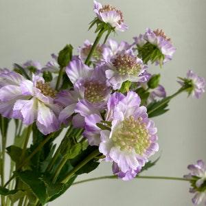 Faux Scabiosa Flower Stem / High Quality Artificial Flower / DIY Floral / Wedding / Home Decoration / Gifts / Light Purple