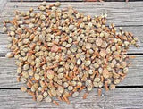 Over 200 3lb 10oz Texas Southern Magnolia Sm Seed Pod Cones for Crafting