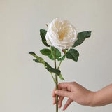 24" White Austin Cabbage Roses, Garden Roses, Real Touch Roses, Silk Roses, DIY Wedding Bouquets, Centerpieces