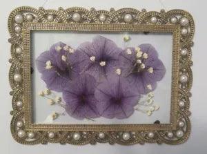 Dried Pressed Purple Petunias in Ornate Vintage Floating Frame: 7.5" x 5.5"