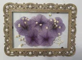 Dried Pressed Purple Petunias in Ornate Vintage Floating Frame: 7.5" x 5.5"