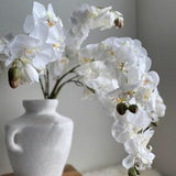 Real Touch Orchid Stem - High Quality Artificial Flower / Wedding / Home Decoration / Centerpiece / DIY Floral / Gifts / White
