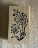 PSX D-076 Stargazer Lily Flower Blossom Bud Rubber Stamp