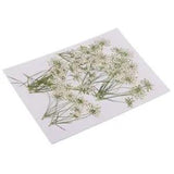 10x  Flowers Pretty  Candle  Embellishments Fillers
