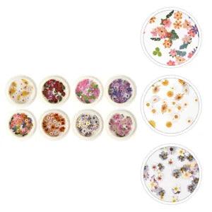 8 Boxes Nail Dry Petals Embellishments Patch Flower Decorations