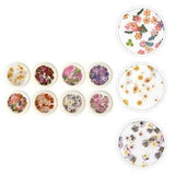 8 Boxes Nail Dry Petals Embellishments Patch Flower Decorations
