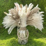 Dried Pampas Grass Decor pcs Boho Home Decor 17 Inch Natural Dried Flower 107
