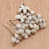 10x Natural Dried Cotton Artificial Plants Flowers Branch For Home Wedding Decor