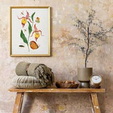 Vintage Botanical Printable Wall Art, Floral Botanical Illustrations, Orchid Drawing, Botany Wall Art