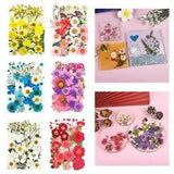 Assorted Dried s Petal  Leaves for Crafts  Jewelry