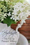 Hydrangea & a No Fail Tip to Prevent Wilting ? Adirondack Girl @ Heart Flower Delivery