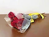 Real Air Dried 12 Red Long Stemmed Roses Flowers Bouquet #2 (NEW) PSJ