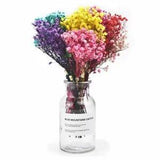 Dried Flower Baby Breath Natural Small Bouquet Wedding Party Home Decor Craft