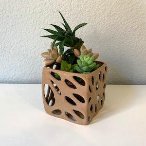 Mini Wood Pot for Air Plants, Kokedama or Drought-Tolerant Plants - Square