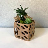 Mini Wood Pot for Air Plants, Kokedama or Drought-Tolerant Plants - Square
