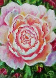 Oil Painting Original Peony - Floral Original Artwork -Flowers Collectible Art
