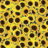 QUILT FABRIC Small World Mini Multi Sunflowers, 100% cotton - 8885 de Timeless Treasures