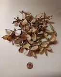 Cotton Pods Dried Botanical - 2 cups