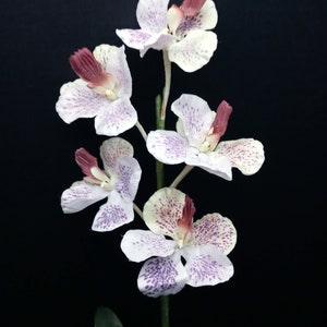 SALE! Vintage Latex artificial Vanda Orchid plant on disc