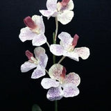 SALE! Vintage Latex artificial Vanda Orchid plant on disc