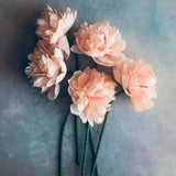 Crepe paper peonies