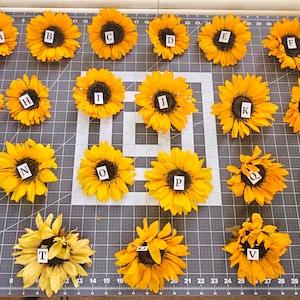 Preserved Dried Sunflower