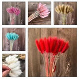 50PCS Natural Dried Flowers Rabbit Bunny Tails Grass Bouquet Party Wedding Decor