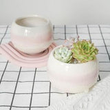 Ceramic Planters With Drainage Hole/1 Pot/Succulent Cactus Plant Pot/Small Fern Flower Pot Gift Garden Desk Decoration