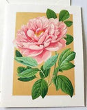 Vintage Greeting Card Blank Hallmark Beautiful Pink Peony Flower on Gold