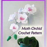 Moth Orchid Crochet Pattern
