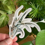 Air Plant Clear Sticker| Vinyl Die Cut Sticker, Plant Lover, Cute Plant Sticker, Small Gift, Waterproof Stickers for Water Bottle, Laptop