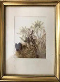 Vintage Dried Pressed Flowers Tyrol Austria Framed label intact, 1950's