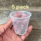 2.5??? round ultra clear seedling orchid pot (5 COUNT), Clear plastic pot, Plastic flower pot for orchids