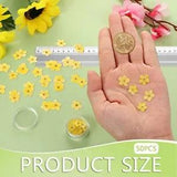 Forget Me Not Dried Flowers,  50Pcs Don't Forget Me Dried Flowers Natural